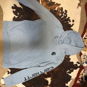 Carhartt Light Blue Hoodie with Sleeve Logo